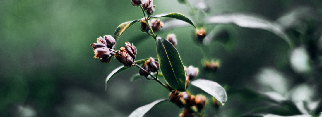 Okyanusun En Derin Yerini Bile Kirletiyoruz!